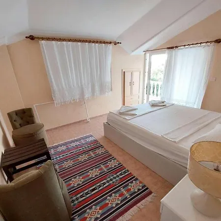 Dalyan Palace *